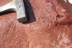 Butte Valley Formation rock closeup