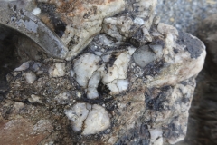 Conglomerate closeup