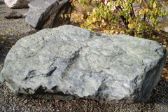 2018-11-22-Blueschist_boulder